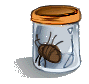 bug in a jar