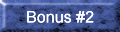 bonus 2