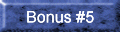 bonus 5